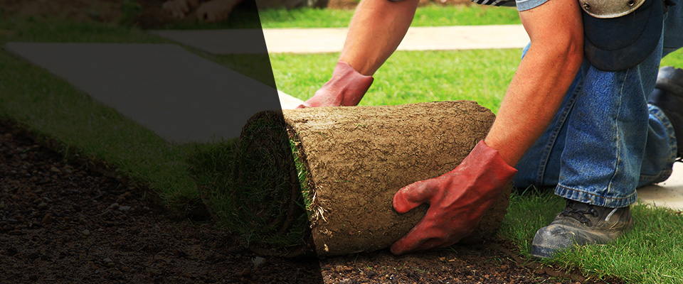 Brigantine Landscapers